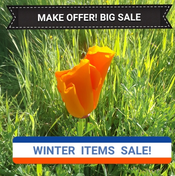 SPORT BRANDS & OTHERS, SHOES ,MEN'S,WOMEN'S ,KIDS - Picture 2 of 3